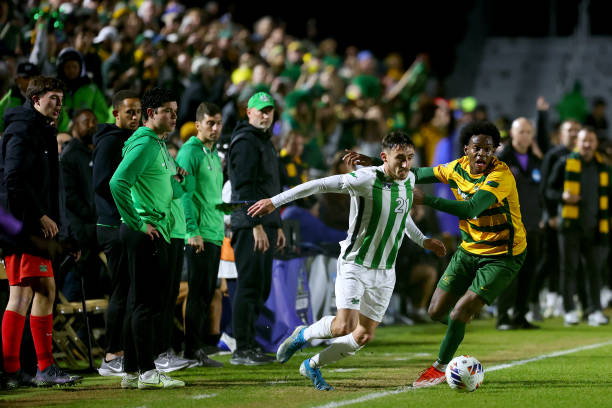 约基奇的稳 约基奇的稳