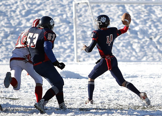 重要因素之 重要因素之